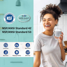 Sub-Zero 4204490, 4290510, 9030868 Refrigerator Water Filter